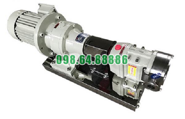 Máy bơm lobe 3RP-10 tốc độ quay 1000 vòng/phút đường kính kết nối 32 mm
